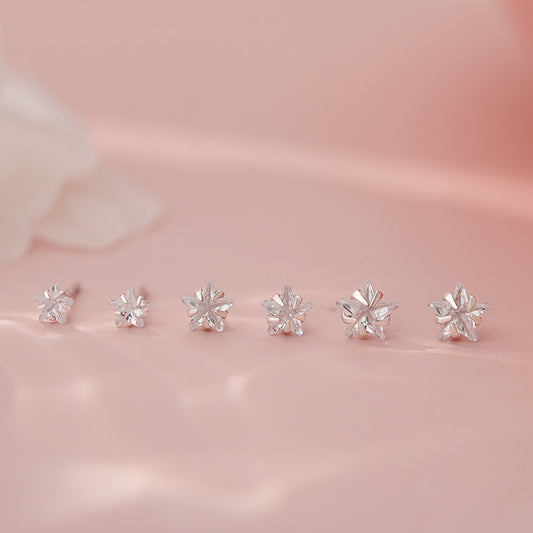 E廠【YC5453E】S999足銀輕奢星星鋯石耳環女甜美小眾高級感爆款自然耳飾 25.06-4