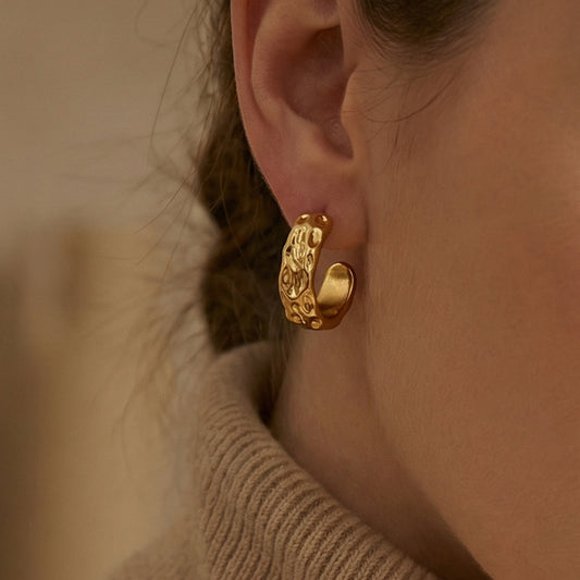 B廠【F027】歐美時尚C型耳環跨國潮流新款耳環小眾設計不鏽鋼時尚百搭耳環女
26.02-1