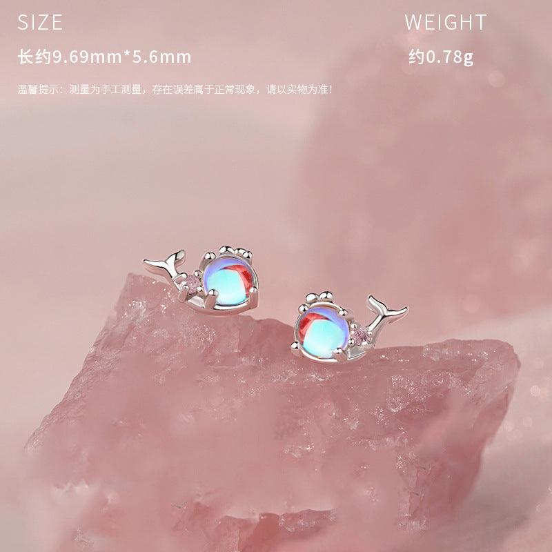 E廠【YC0741N】原創S999足銀小鯨奇遇記系列韓風獨特設計小眾鎖骨鏈耳環 25.05-3