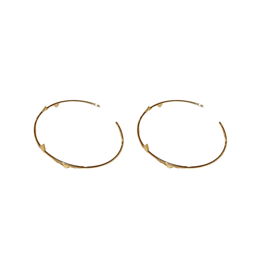 A廠【HE26552】不規則圓形耳環歐美輕奢個性獨特百搭耳環小眾高級感氣質耳飾 25.06-1