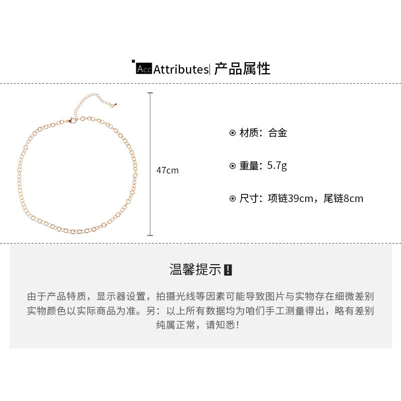 A廠【HN9697】歐美金屬時尚百搭冷淡風圓形項鍊輕奢高級感鎖骨鏈簡約小眾項鍊女 25.08-1