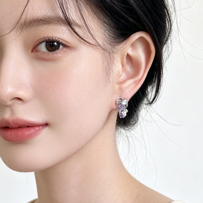 A廠【7901】原創個性清冷感紫色葡萄微鑲鋯石耳環女銀針水果耳飾
 26.07-4