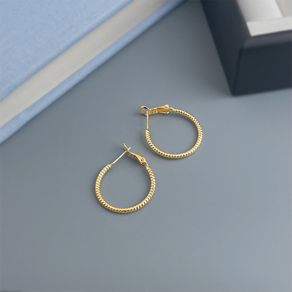 A廠【7165】時尚個性冷淡風大耳圈圓圈銀針高級感通勤百搭耳環
 25.11-4