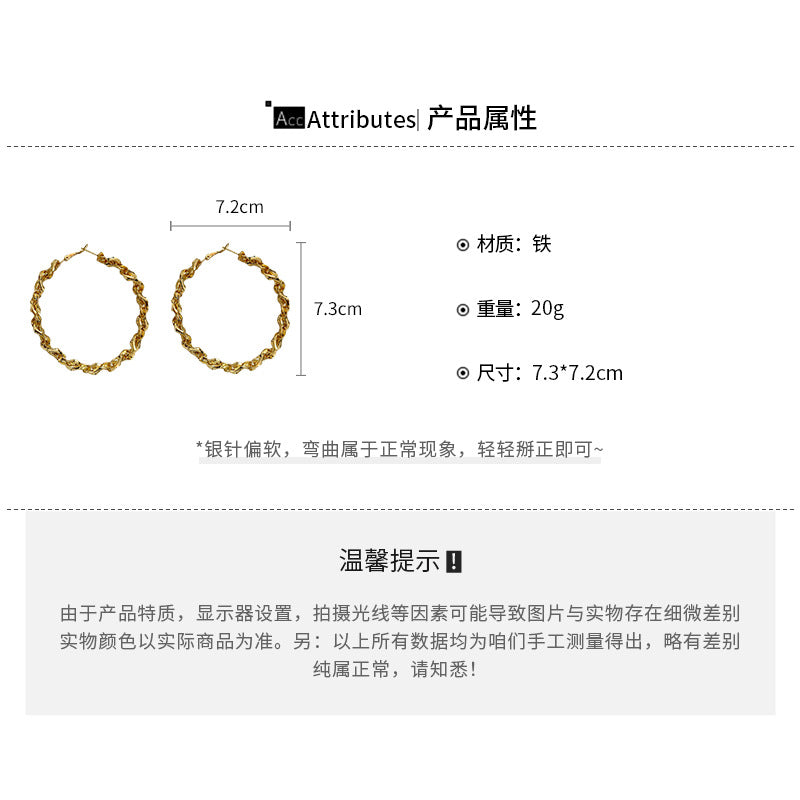 A廠【HE21667】925銀針跨國新款誇張扭面麻花耳環氣質金屬設計感耳圈高級感通勤耳飾 24.07-4