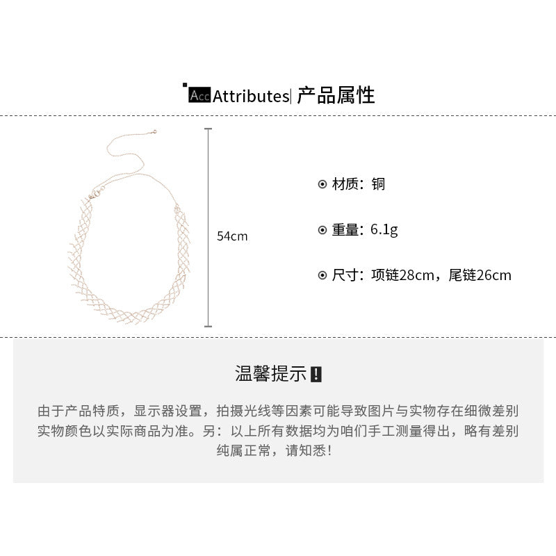 A廠【HN10478】韓系ins編織花邊鏤空項鍊個性小眾極簡風鎖骨鏈輕奢氣質百搭項鍊
 25.11-1