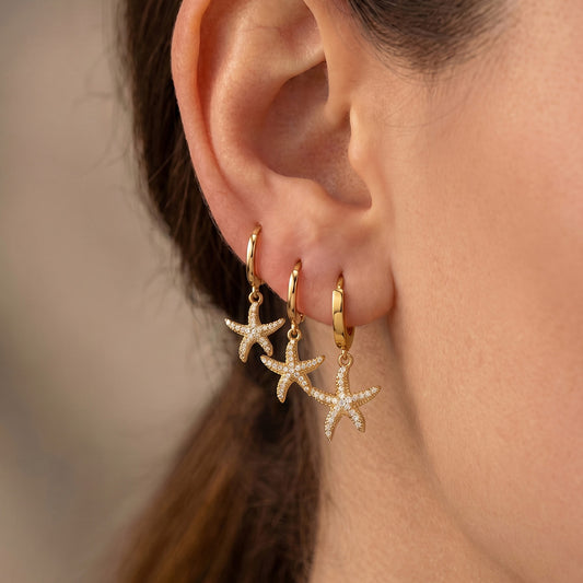 B廠【F051】小清新ins風小海星鑲嵌鋯石耳環歐美時尚新款不鏽鋼鍍18k真金耳飾
 26.04-4