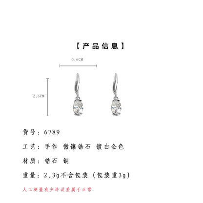 A廠【6789】高級感冷淡風橢圓幾何極簡鋯石耳環氣質個性新款時尚耳環
 25.09-3