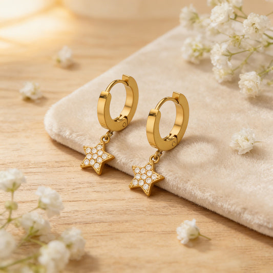 B廠【F310】歐美跨國新款五角星吊墜鑲嵌鋯石耳環簡約時尚百搭耳環不鏽鋼鍍金
 26.04-4