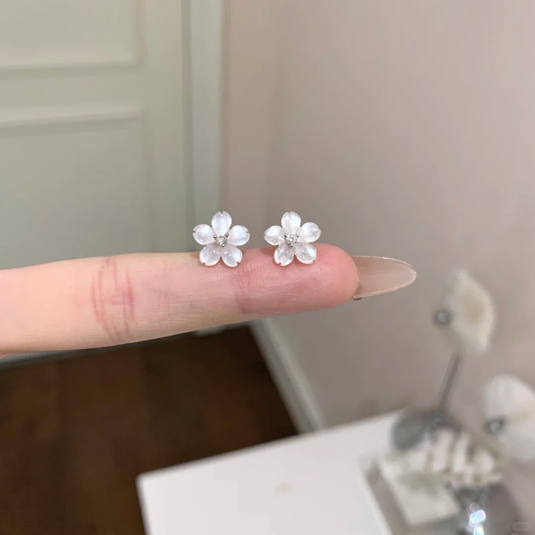 E廠【XDQ10946E】S925純銀甜美氣質貝殼花朵耳環女時尚高級感櫻花耳飾小眾百搭
 26.06-3