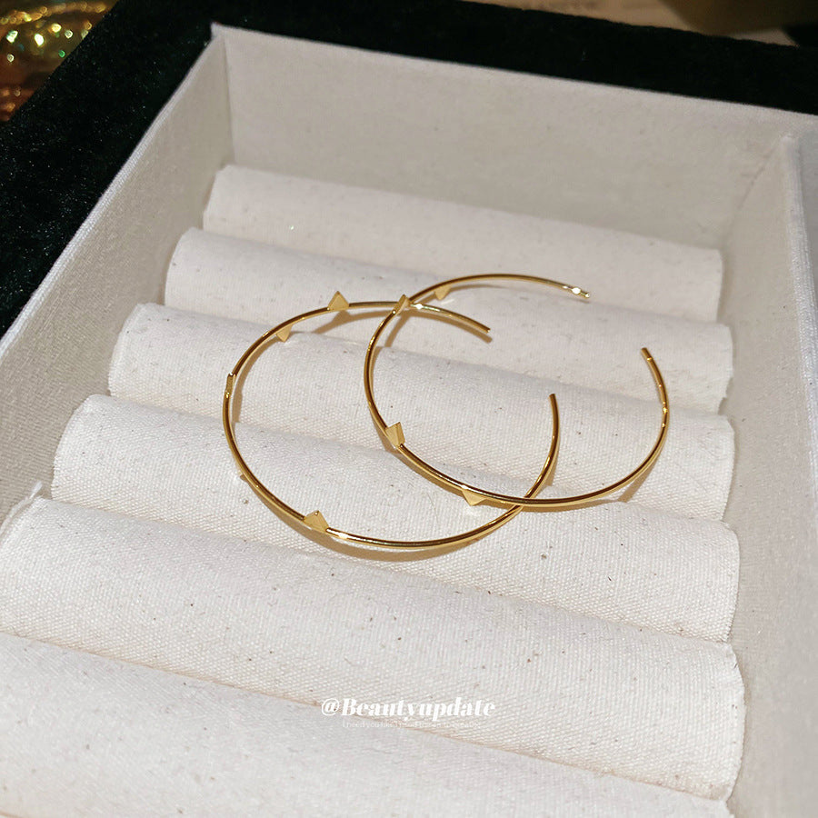 A廠【HE26552】不規則圓形耳環歐美輕奢個性獨特百搭耳環小眾高級感氣質耳飾 25.06-1